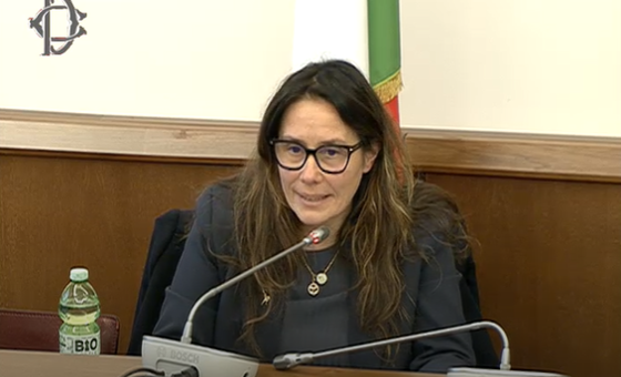 il ministro