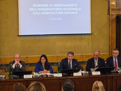 foto dei lavori